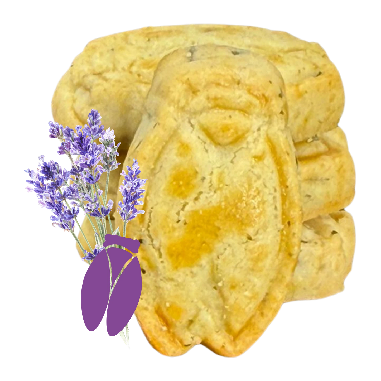 "Lou Cigalou" - Sablés pur Beurre aux Fleurs de Lavande